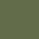AGT3051 - Caretta Green